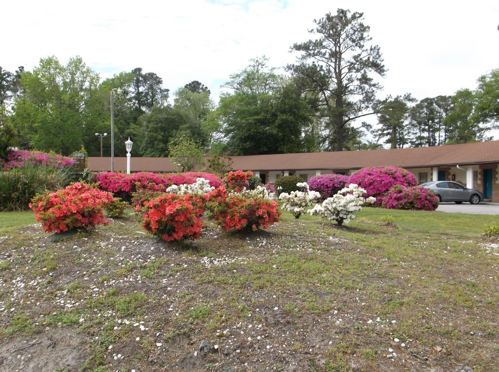 Azalea Inn & Suites Wilmington Buitenkant foto