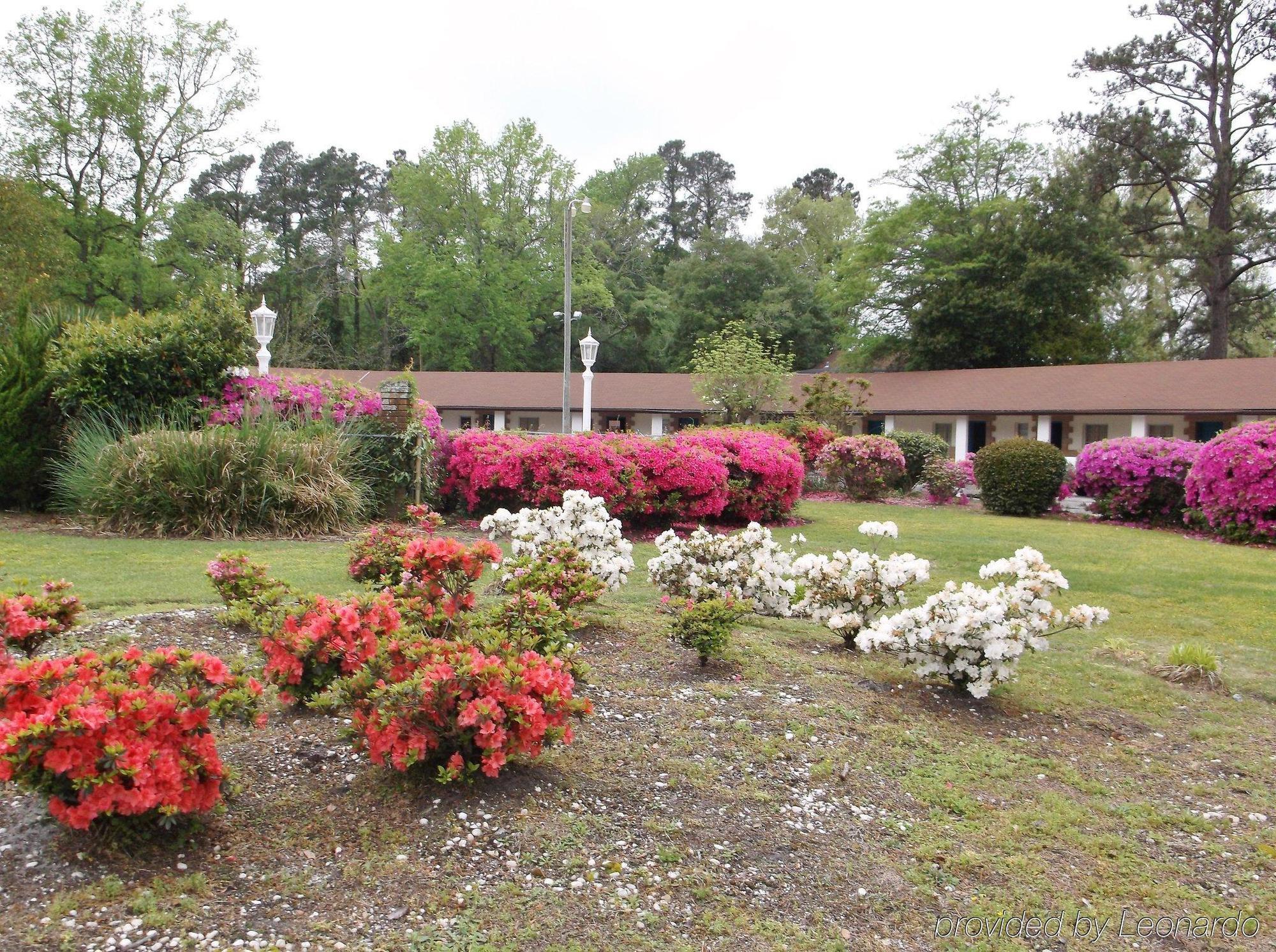 Azalea Inn & Suites Wilmington Buitenkant foto